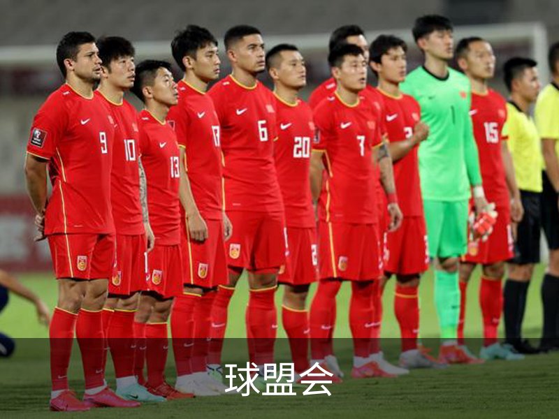 球盟会介绍